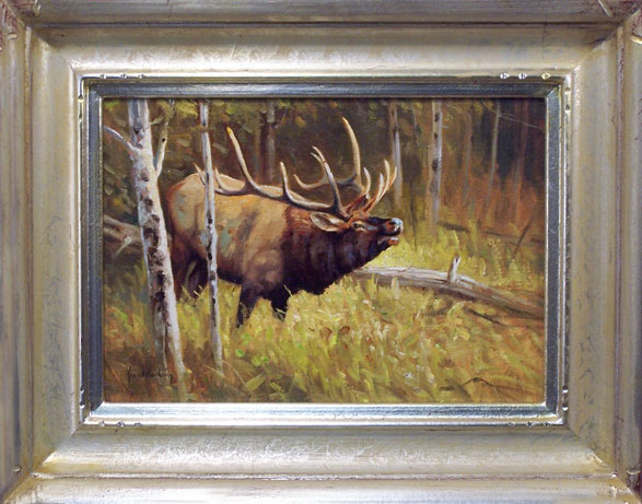 Bugling, Bull Elk