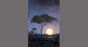 African Moon